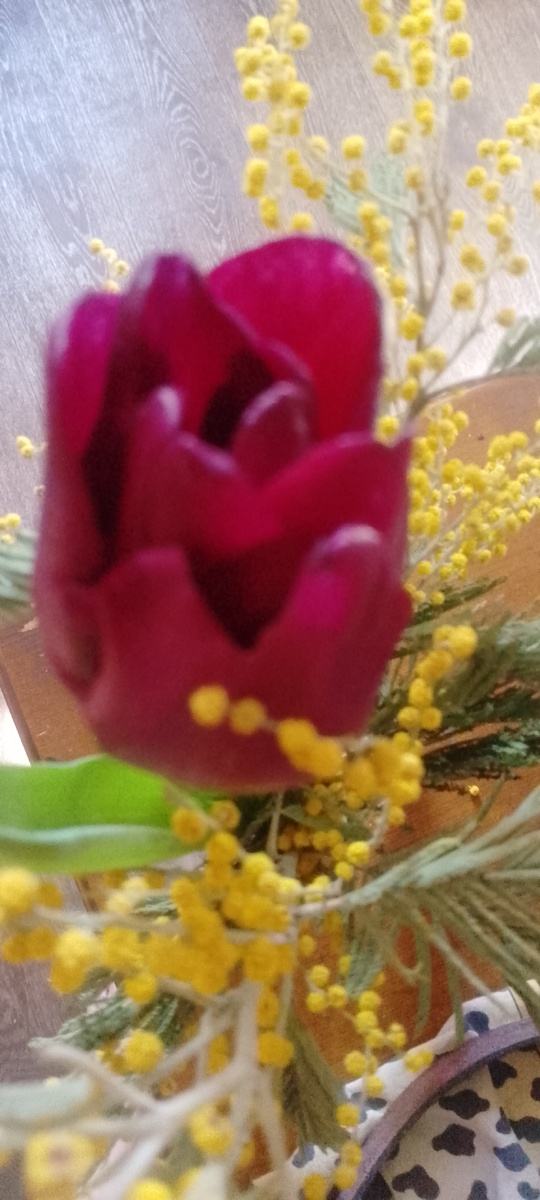 Личное фото