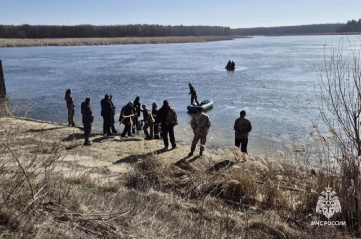    В Брянской области спасли двух провалившихся под лед мужчин