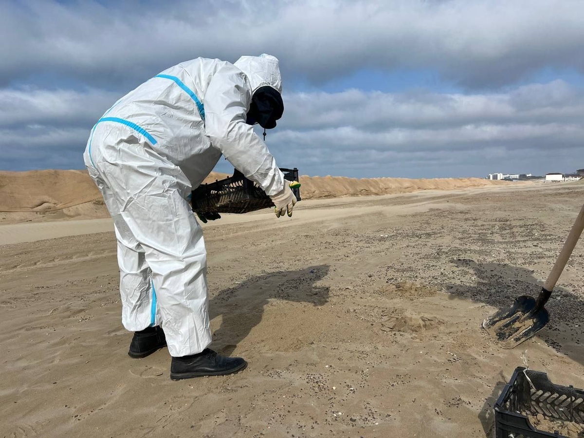    Фото: Оперштаб Кубани