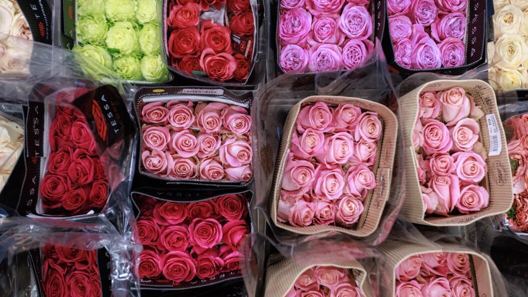    Фото: Sergey Elagin/Globallookpress