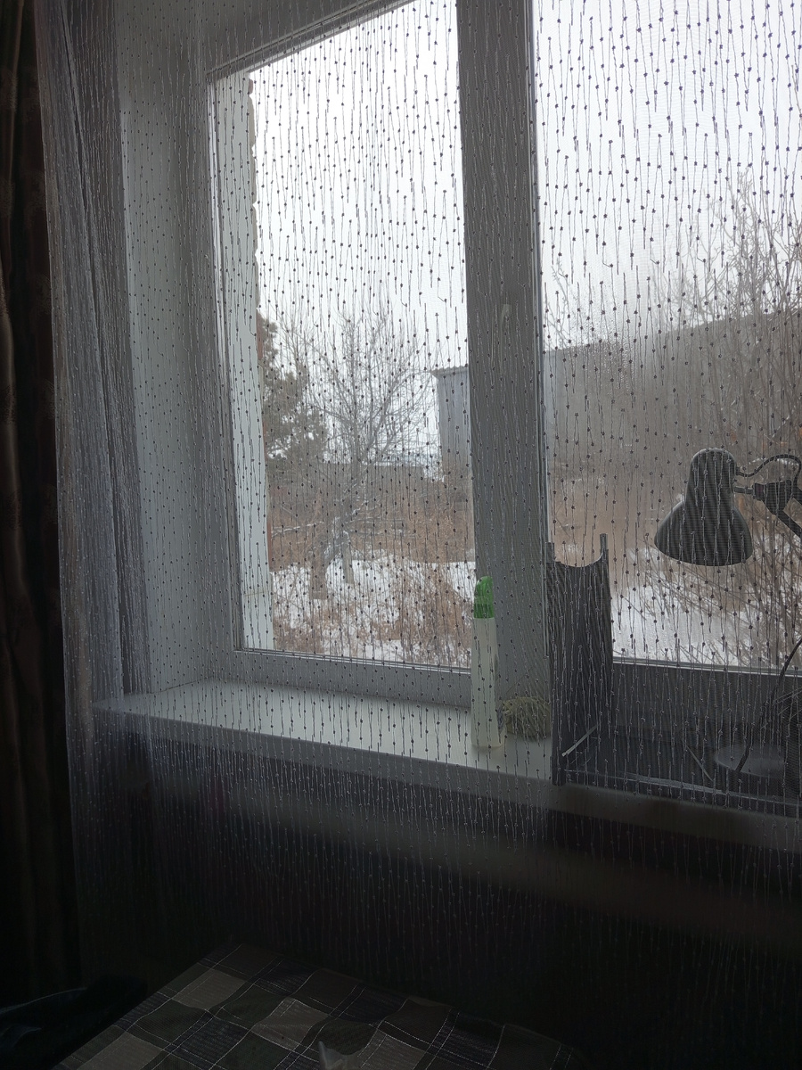 С чистыми окнами и шторами)