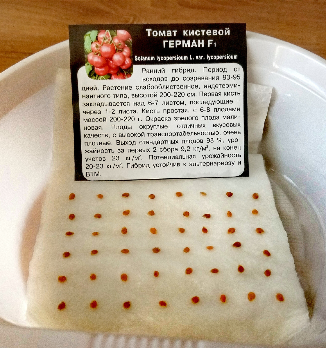 Фото автора.