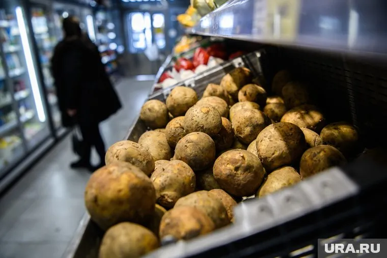 В ХМАО за неделю выросли цены на картошку и говядину
Фото: Илья Московец © URA.RU