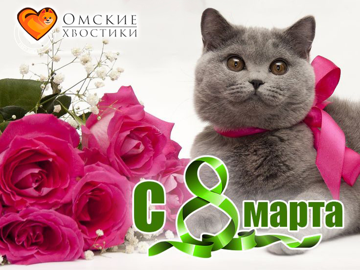 С Международным женским днём, дорогие!