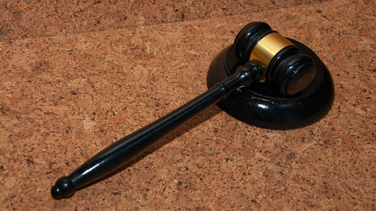    Фото: Svetlana Vozmilova/globallookpress.com