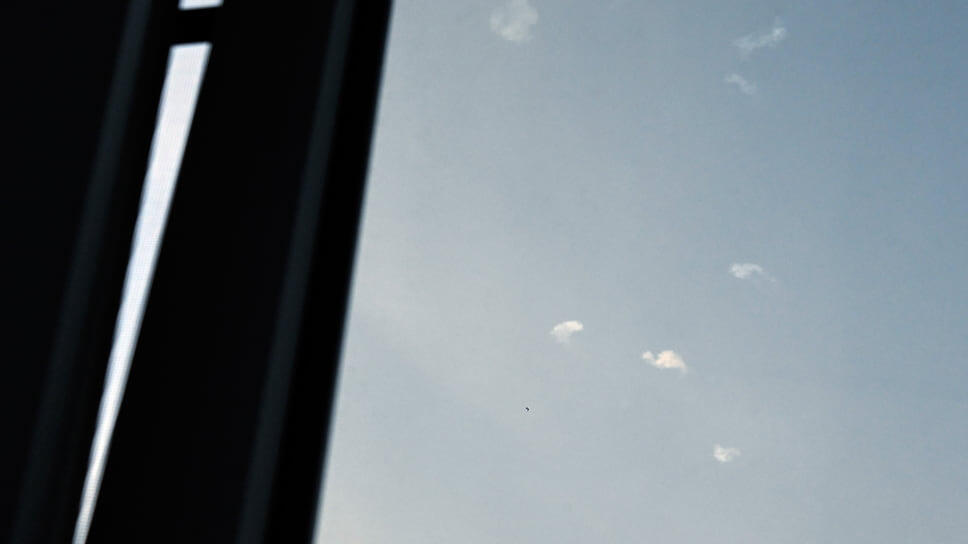 Фото: Анатолий Жданов / Коммерсантъ