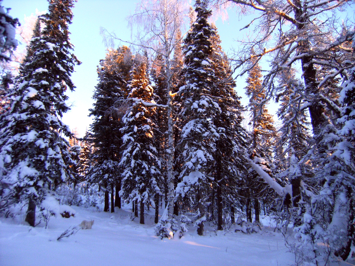 Фото автора.