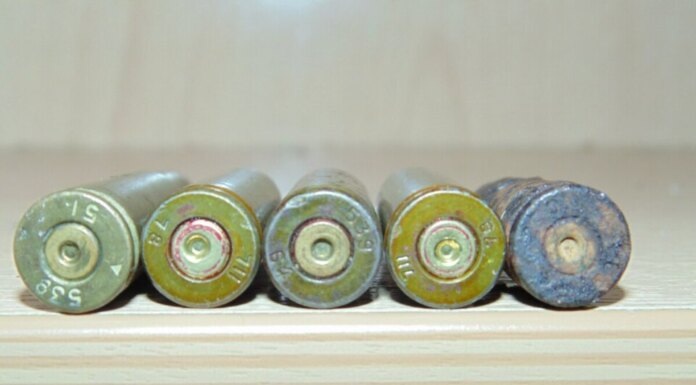    Фото: Андрюша Романов, CC BY 4.0 , via Wikimedia Commons