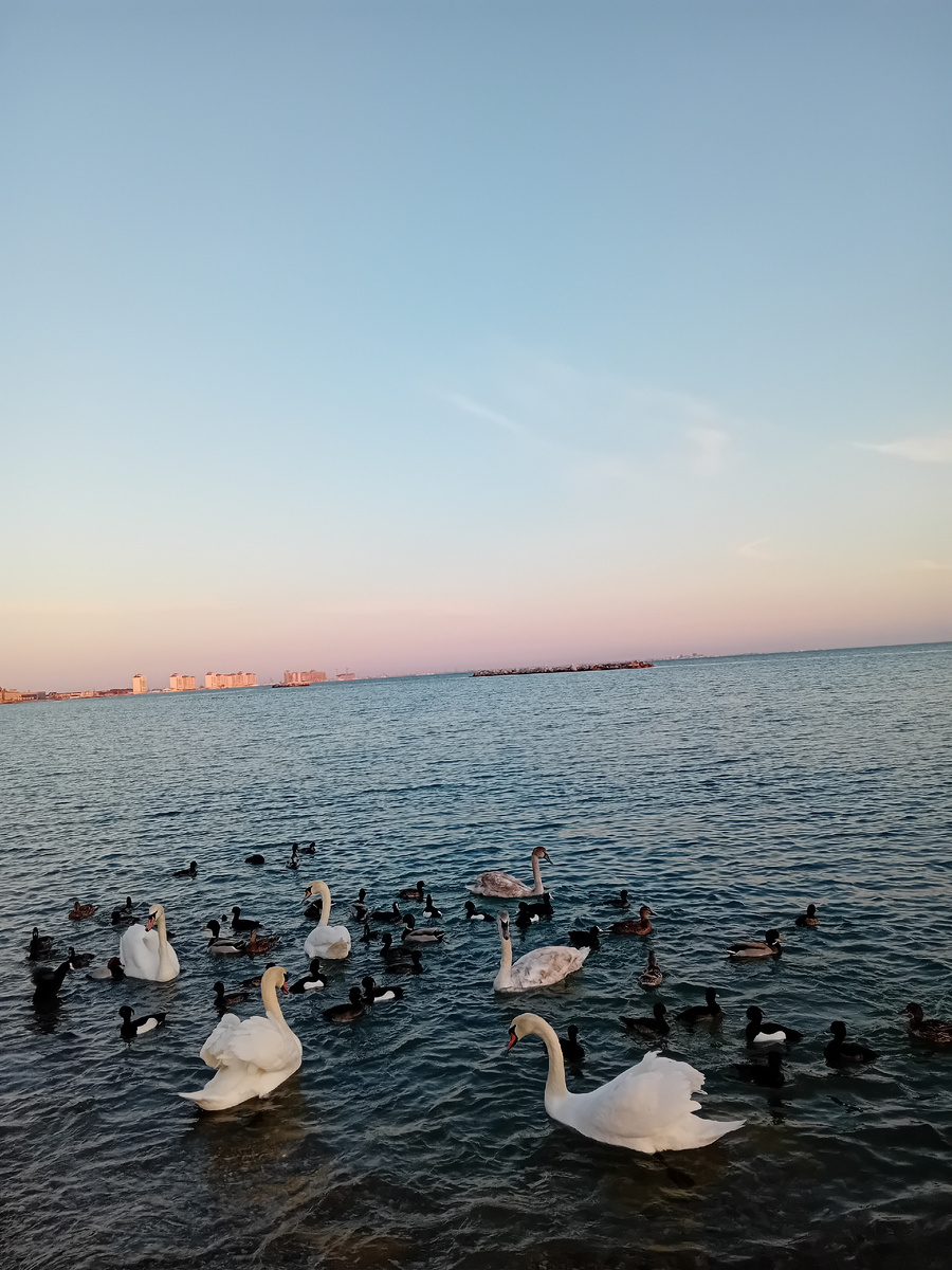 Авторское  фото.