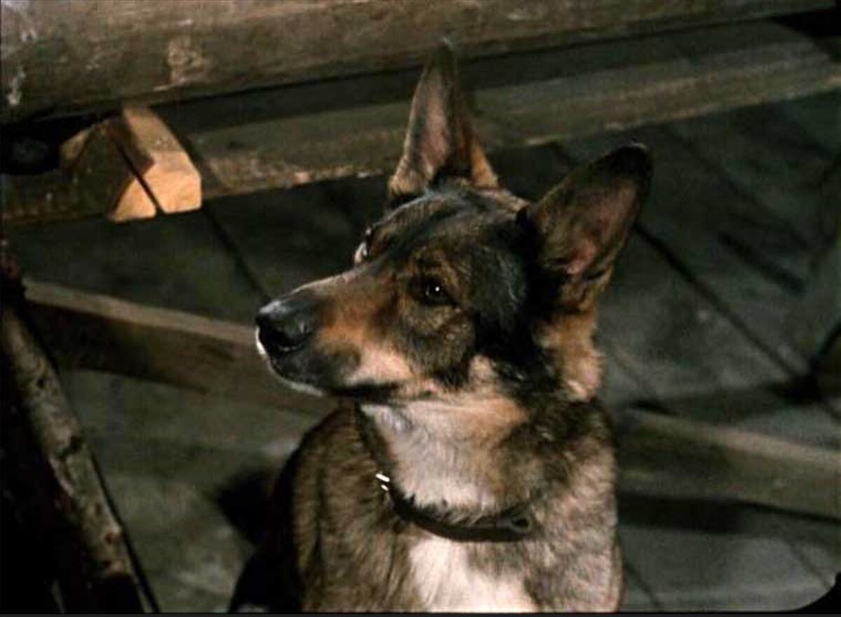 Фото: кадр из к/ф «Самогонщики», 1961