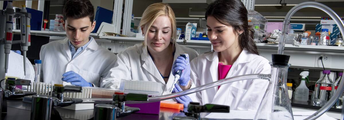   Магистратура Public Health Sciences в ИТМО: путь к новому будущему