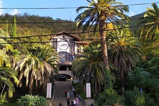    Раскрыты главные проблемы российских туристов во время путешествий