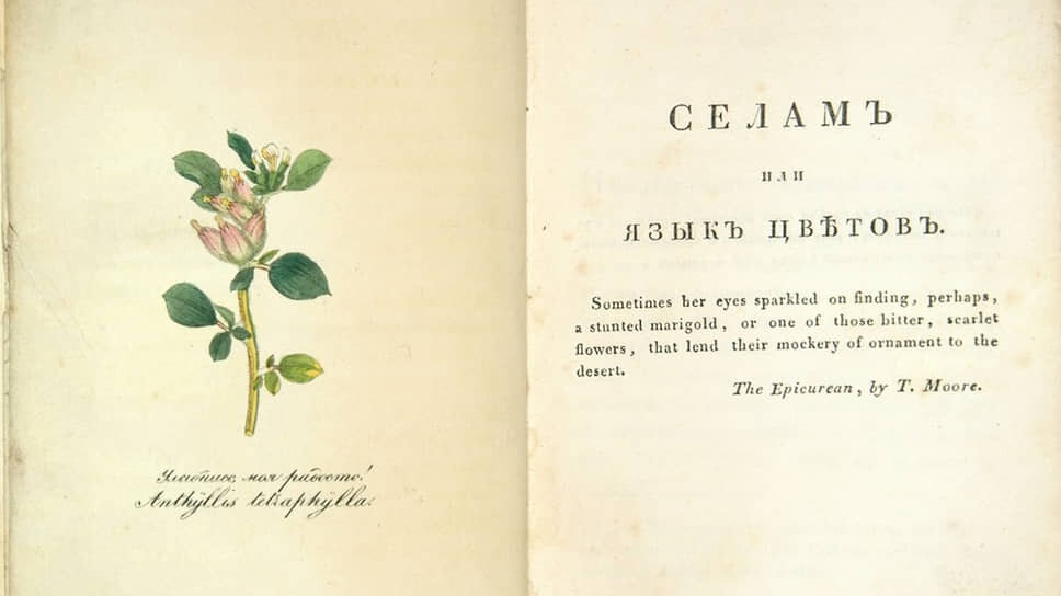 Дмитрий Ознобишин. «Селам, или Язык цветов», 1830.📷Фото: «Библиотека русской поэзии И.Н. Розанова» / ГМП / pushkinmuseum.ru