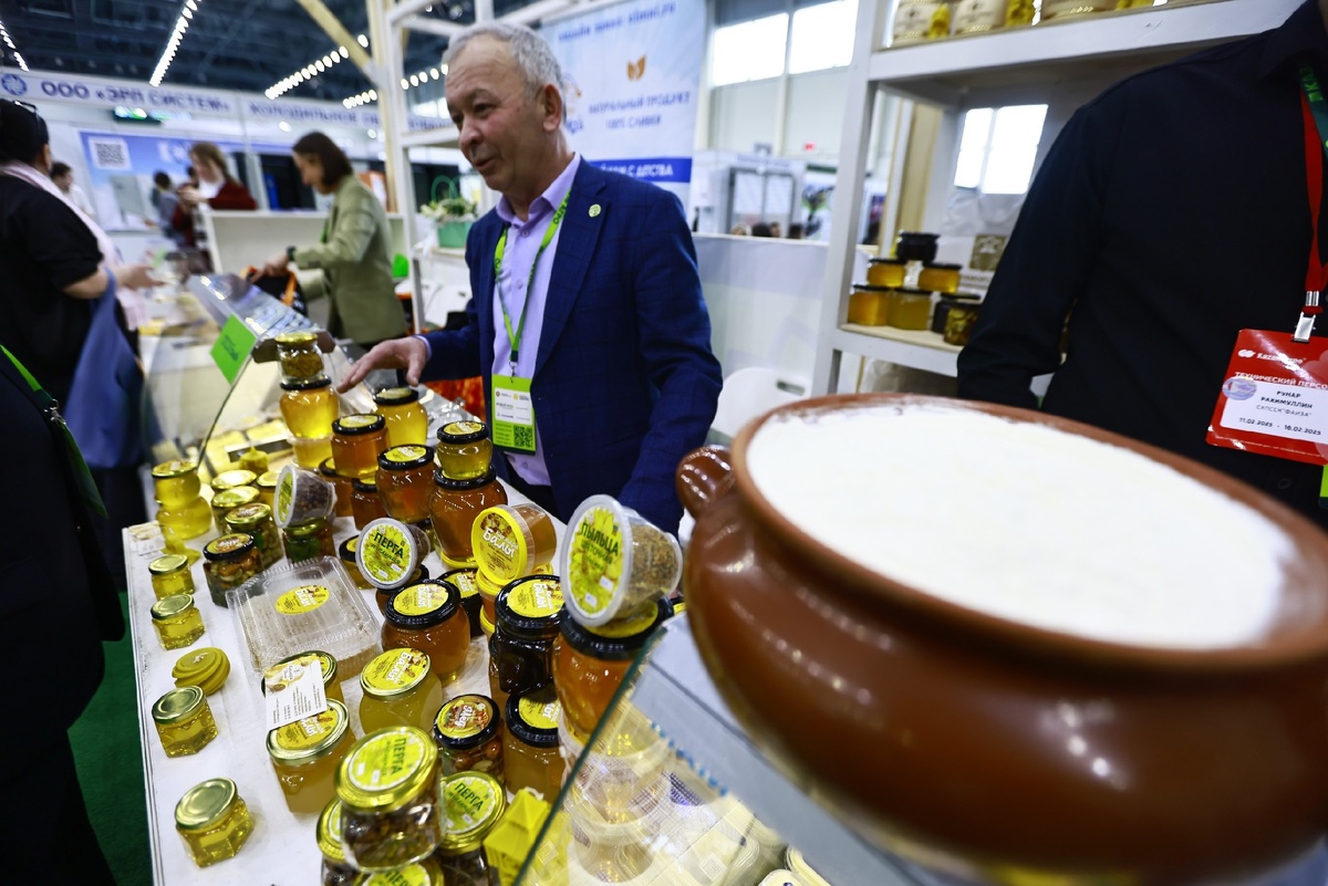 Автор фото: Павел Хацаюк / ИД «Вечерняя Казань»