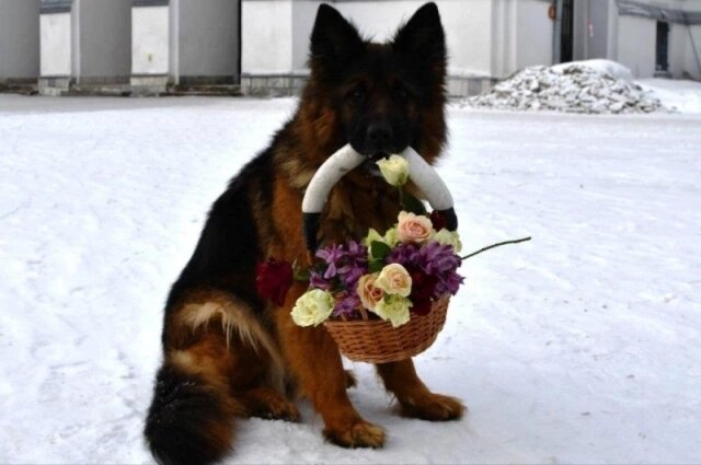    Фото: УМВД России по Томской области