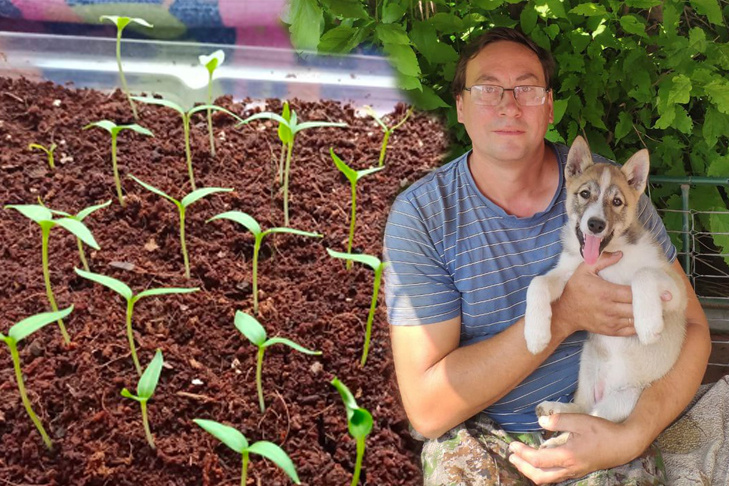    Коллаж Алексея Рыгина