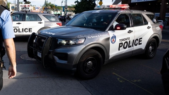    Посетитель паба в Торонто ранил 12 человек и скрылся Владислав Пирогов