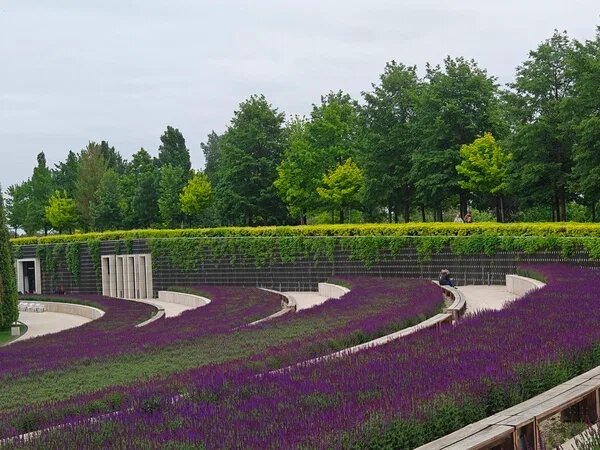    Фото: Юрий Серебренников/BFM Кубань