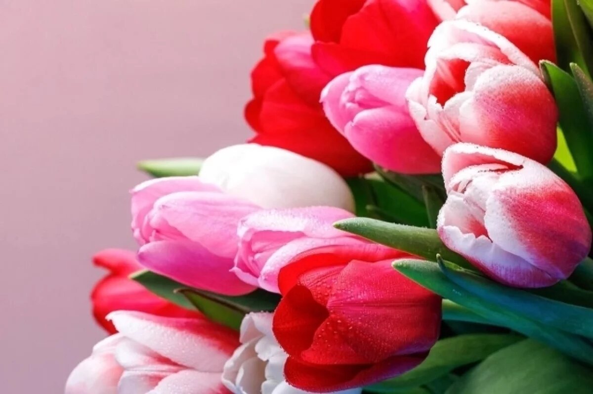    Собянин поздравил москвичек с 8 Марта