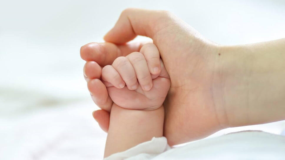 Фото: пресс-служба администрации Краснодара