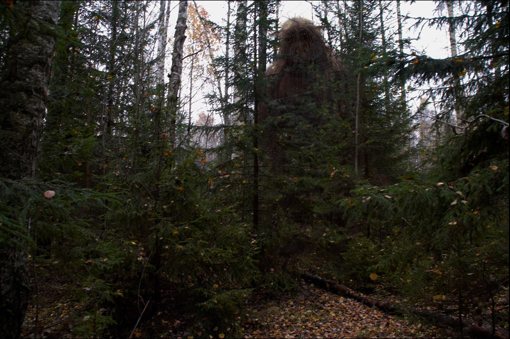 Источник яндекс картинки