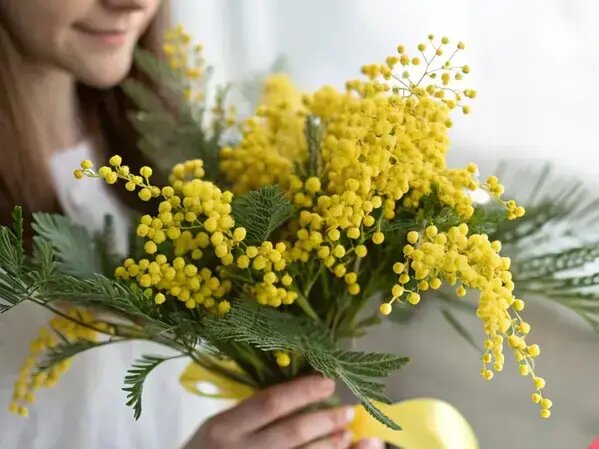  Мимоза на 8 марта, доставка цветов от AzaliaNow Вера Курилыч