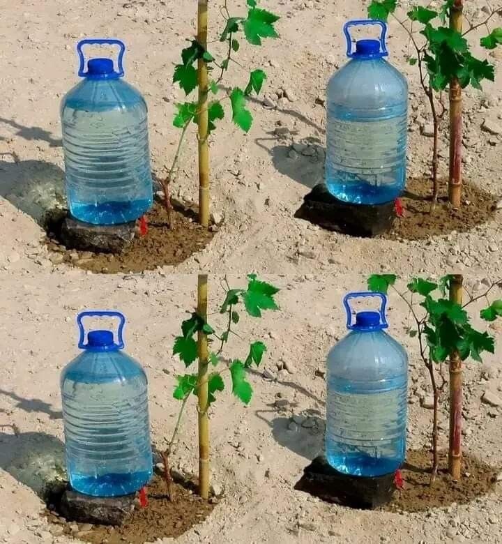 Идея из интернета