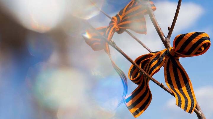  Фото: shutterstock