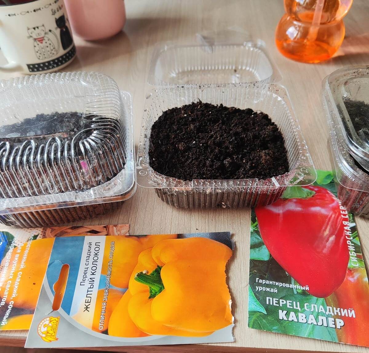 посадка на рассаду