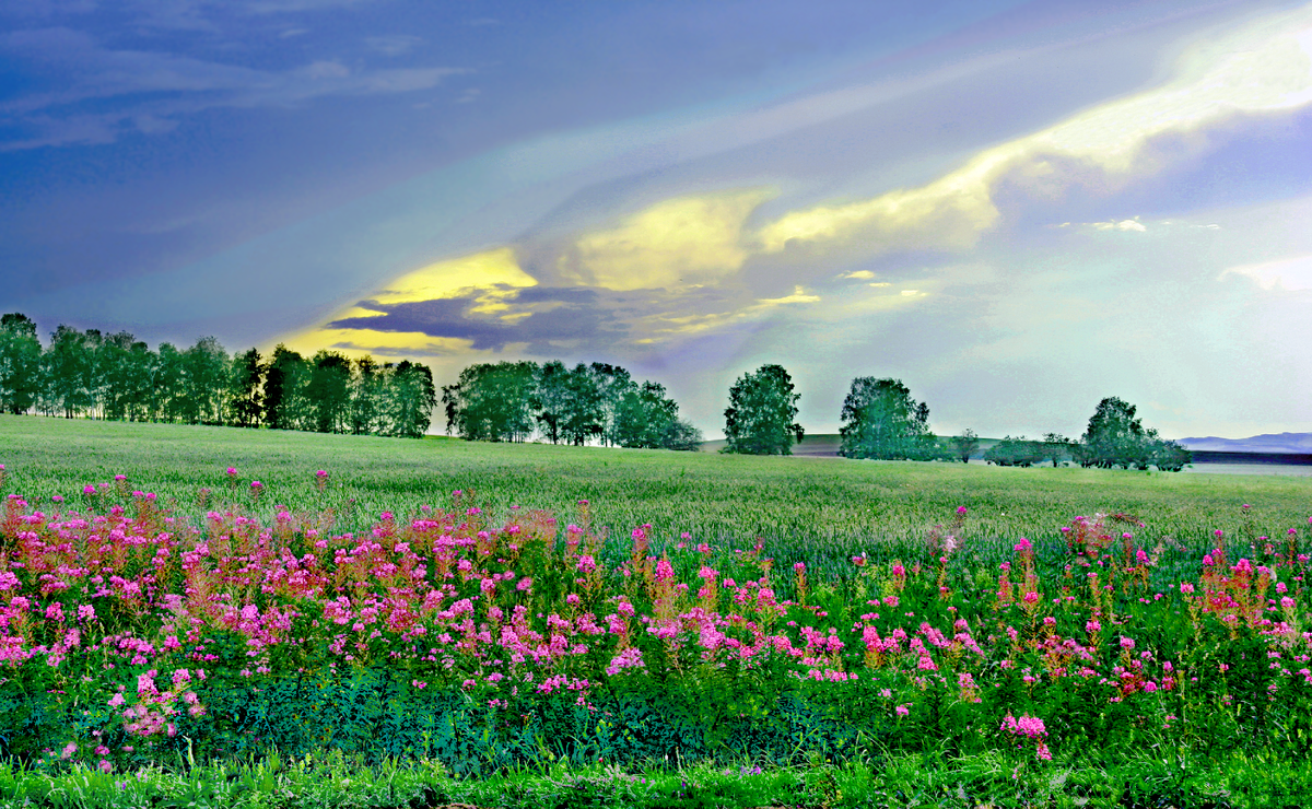 Фотография, стихотворение Василия Глуцкого