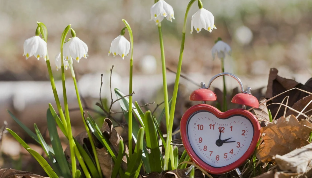 картинки Яндекс