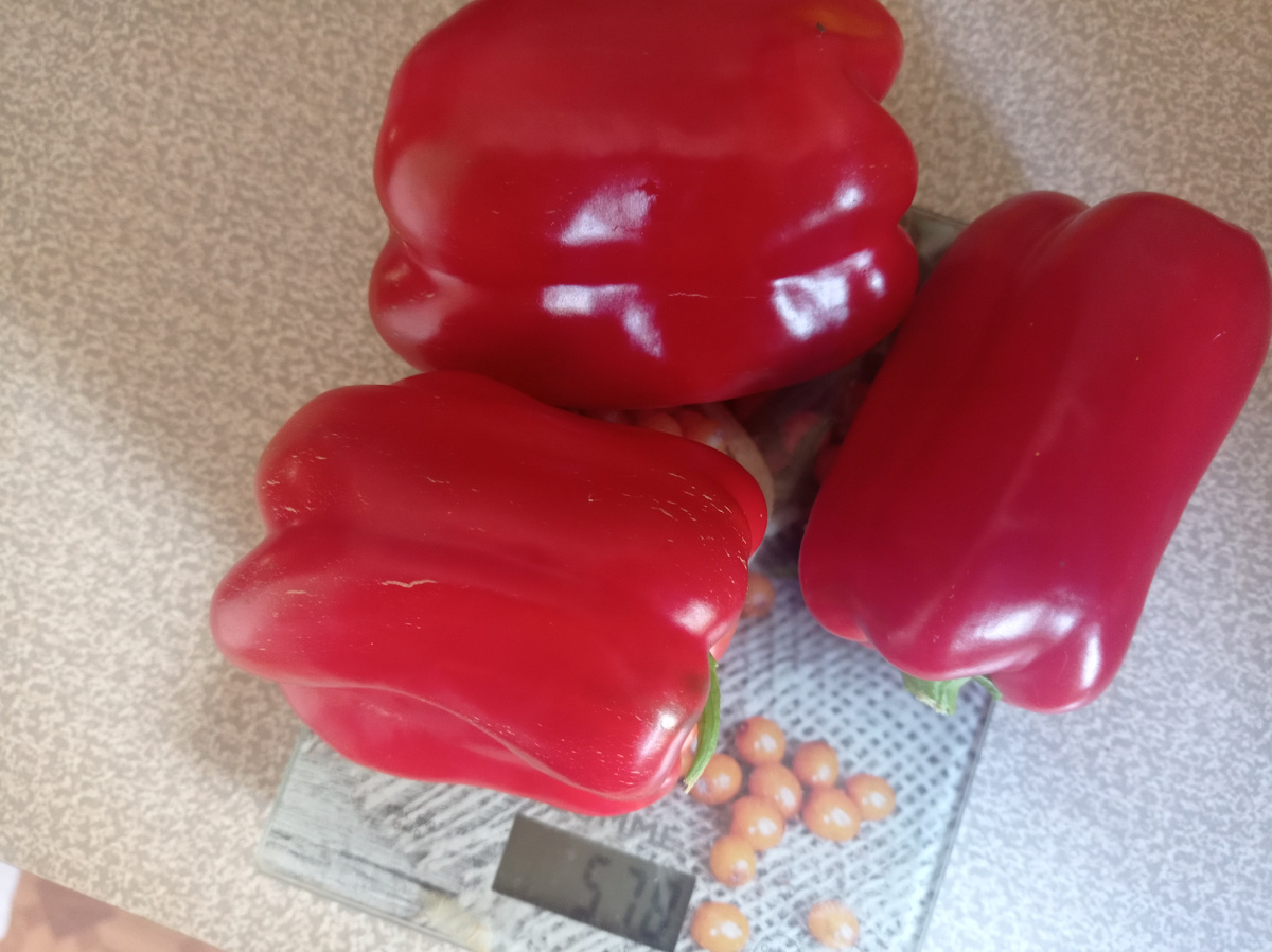 Это фотография трех печиков от фирмы Аэлита. Листайте галерею