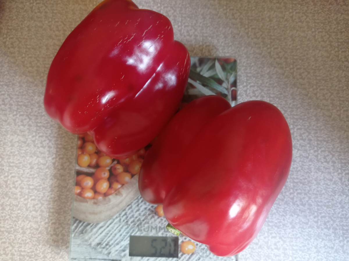 Эти перчики от Агроэлиты