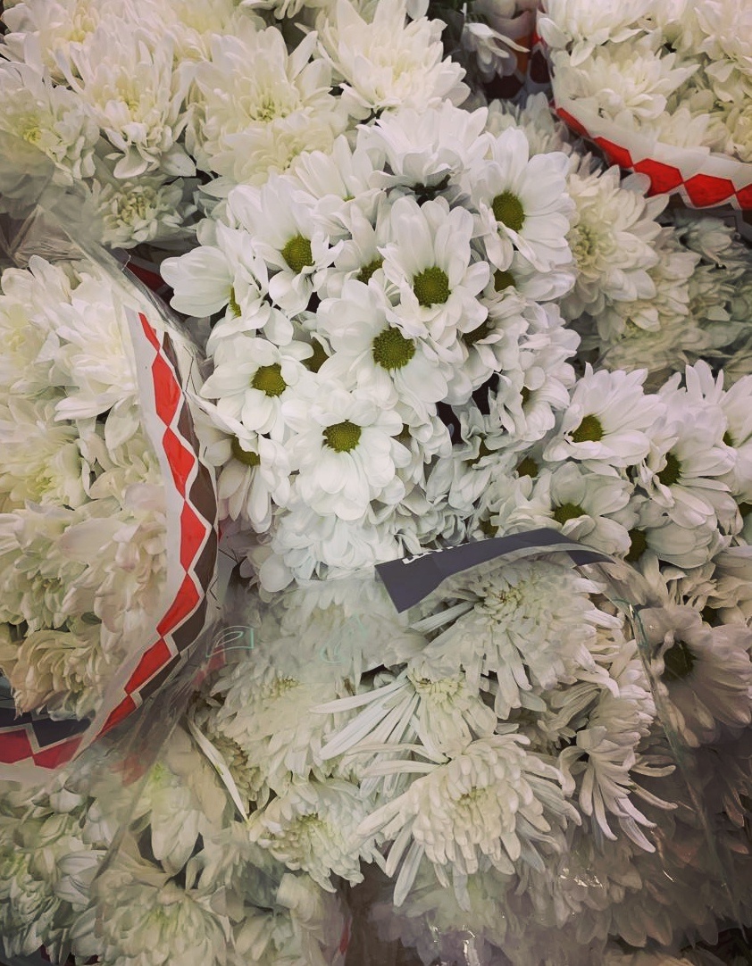 Все-е-е цветы! (Петь на мотив известной песни)