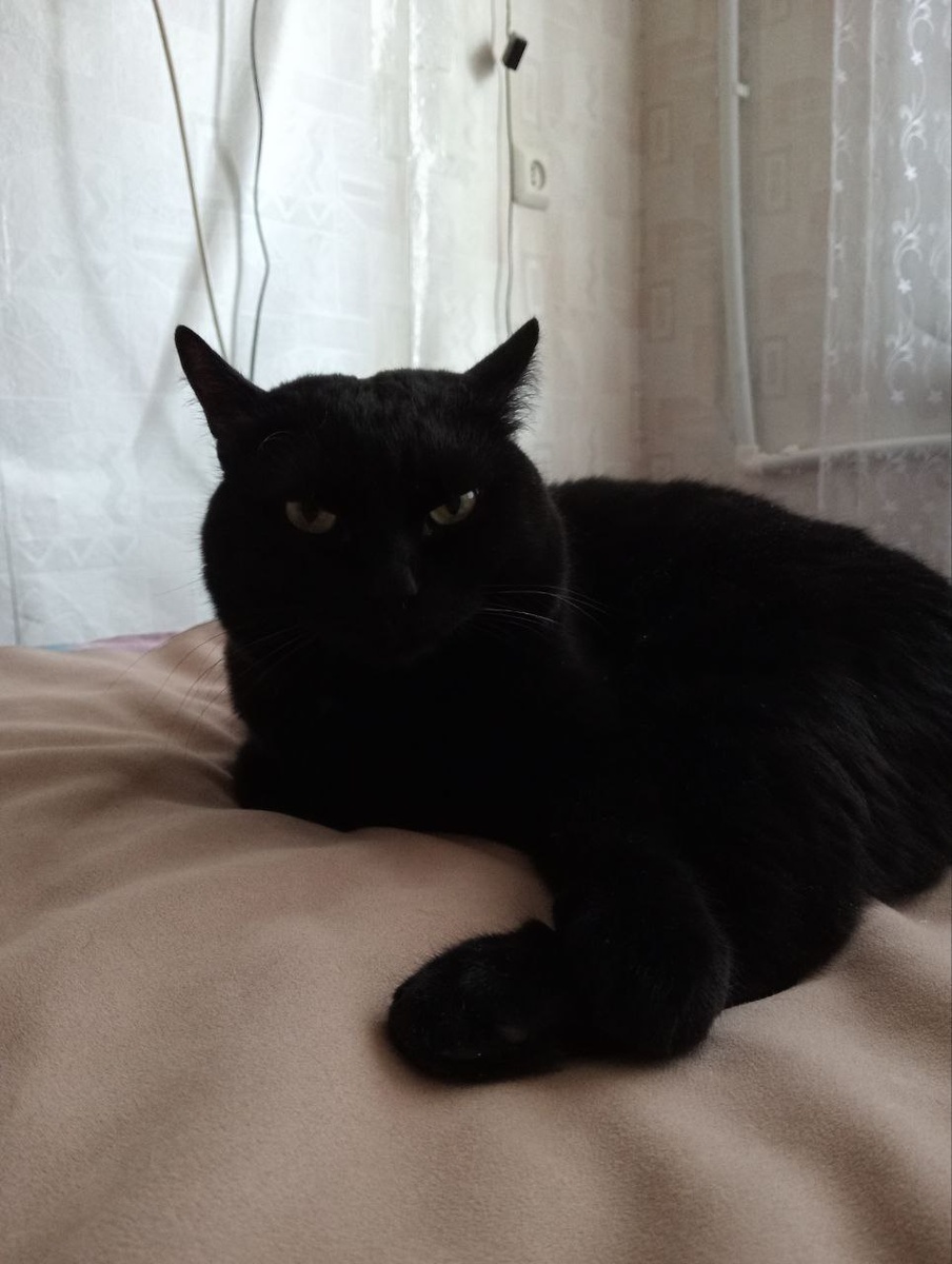 Фото автора.