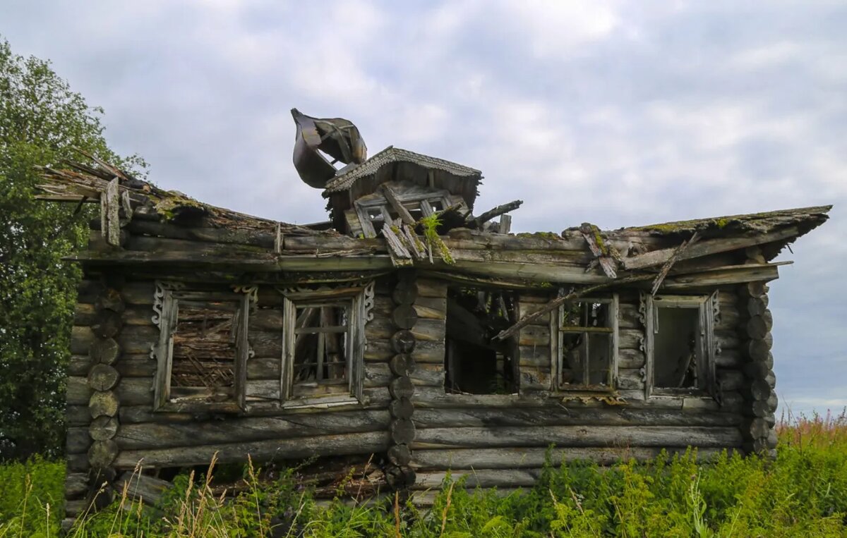 Фото из открытого источника.