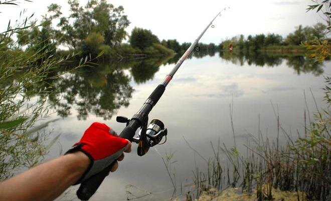 С нуля до успешного рыбака