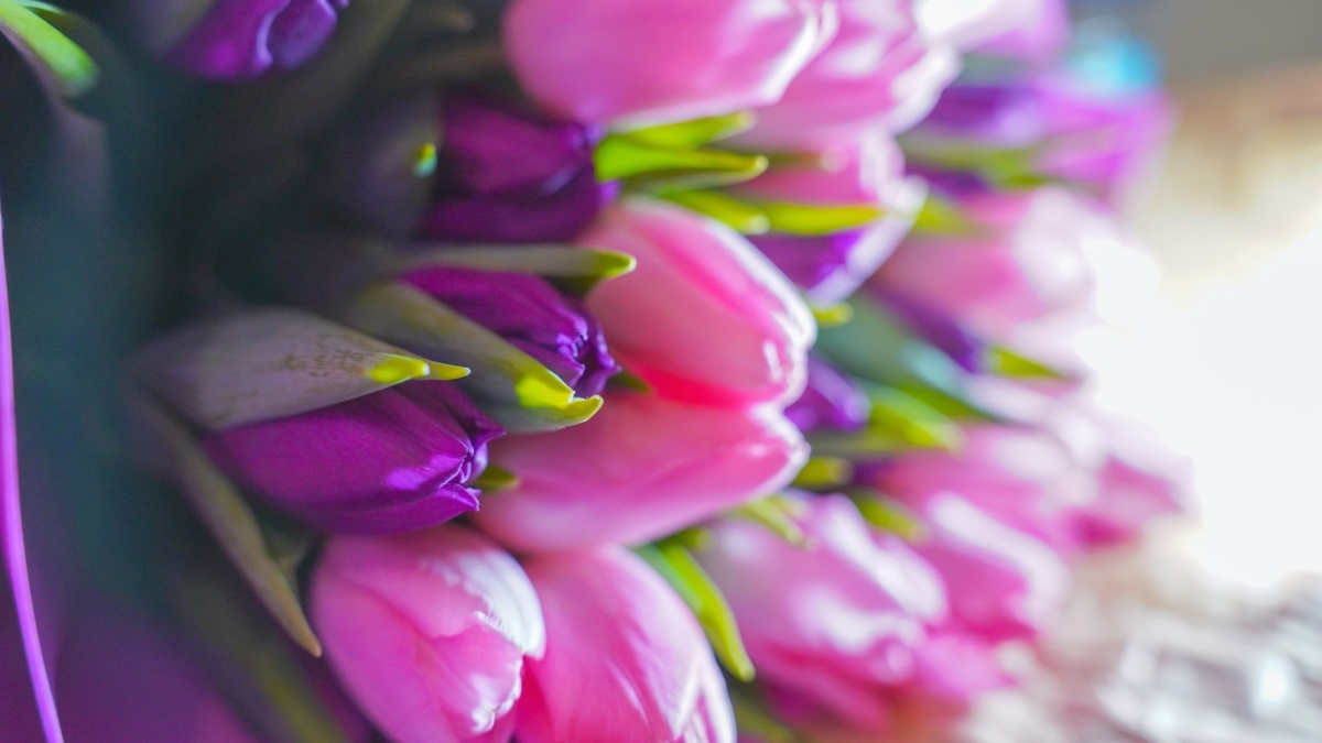 Светлана Мулыкина📷
