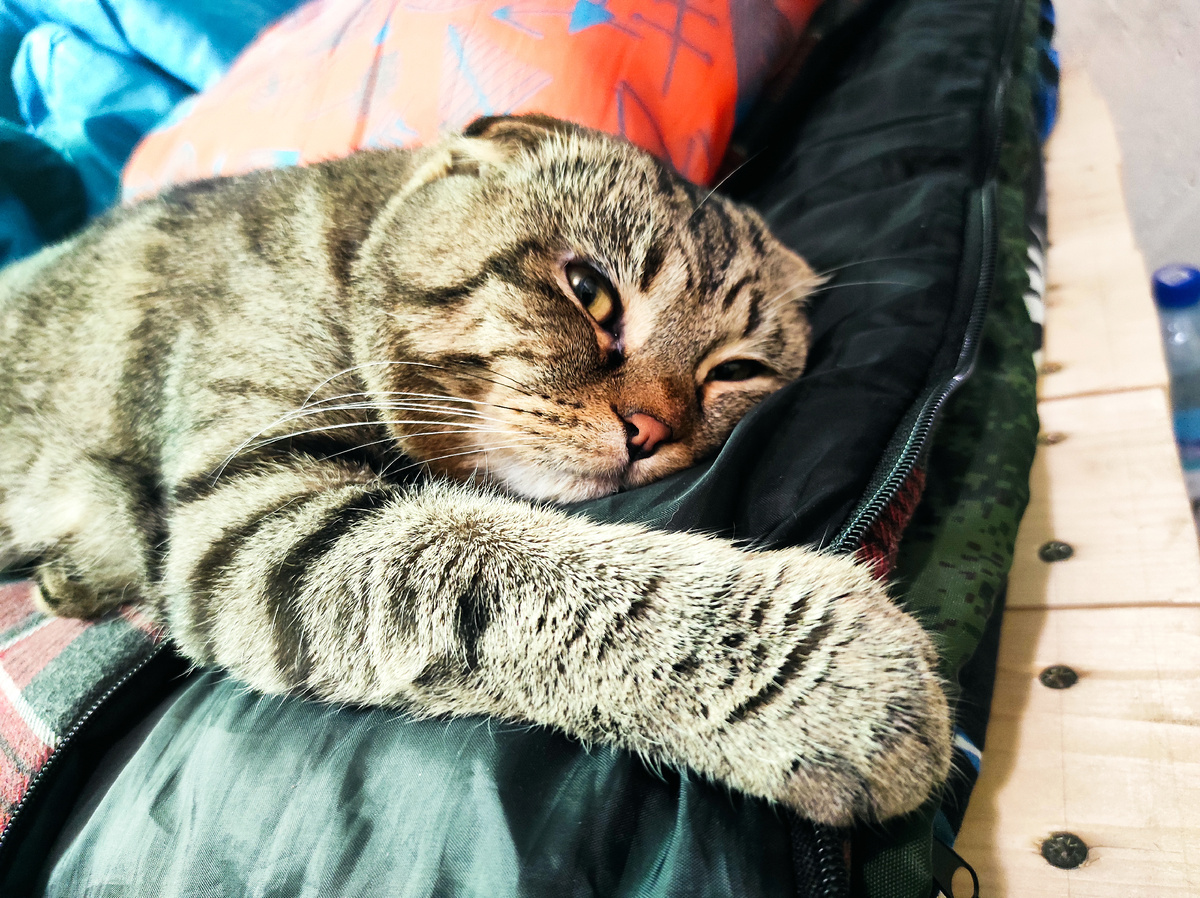 Хорошо лежу