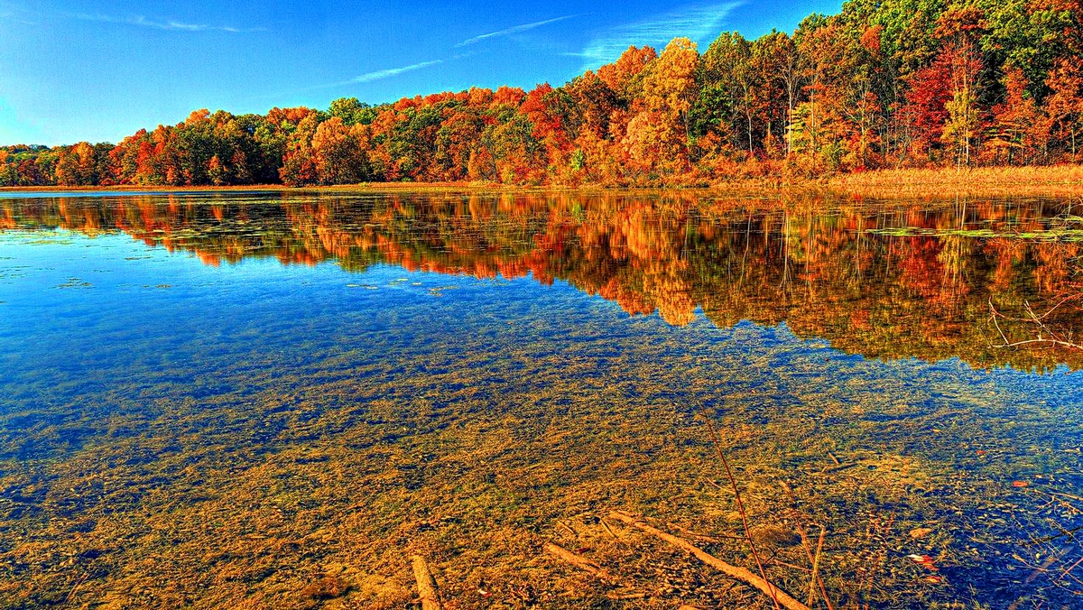 Фото взято из интернета. Для создания осеннего настроения. В рассказе сейчас речь идет о событиях, случившихся осенью.