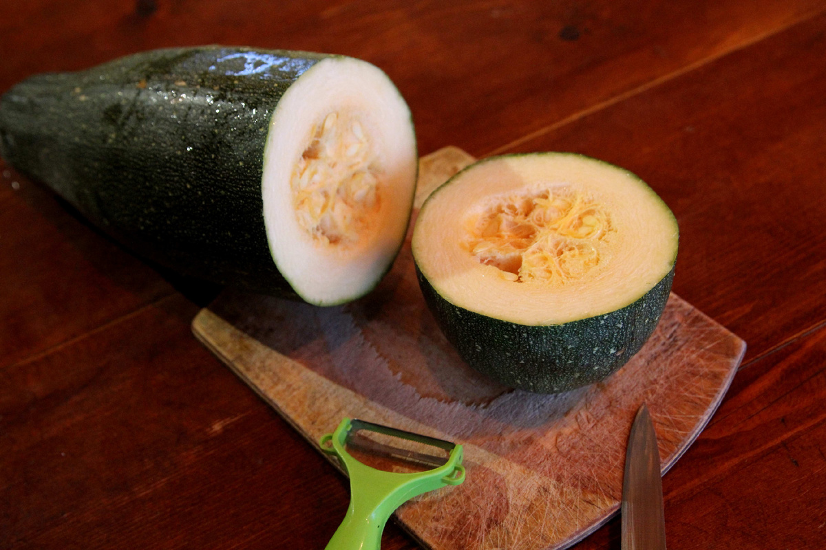 Наши любимые кабачки