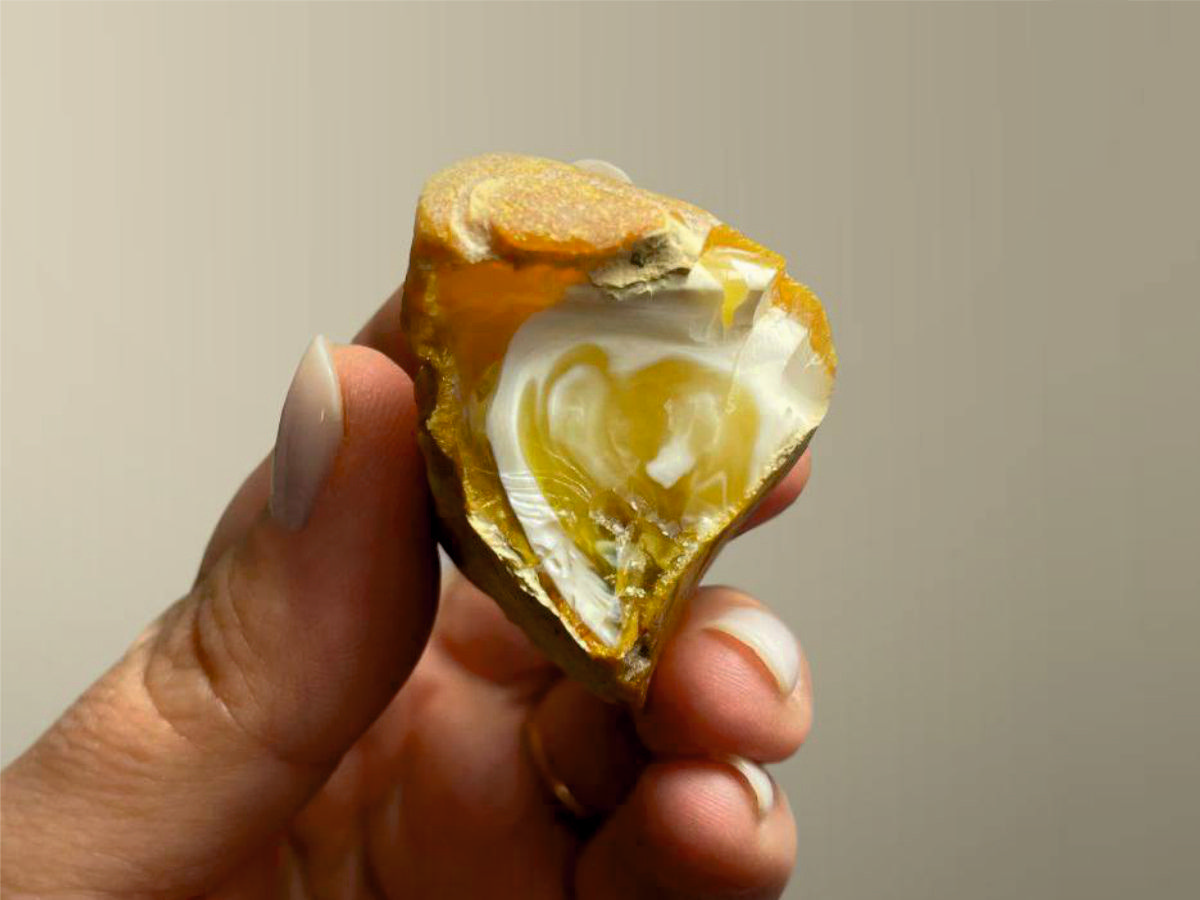 Фото: Янтарный комбинат