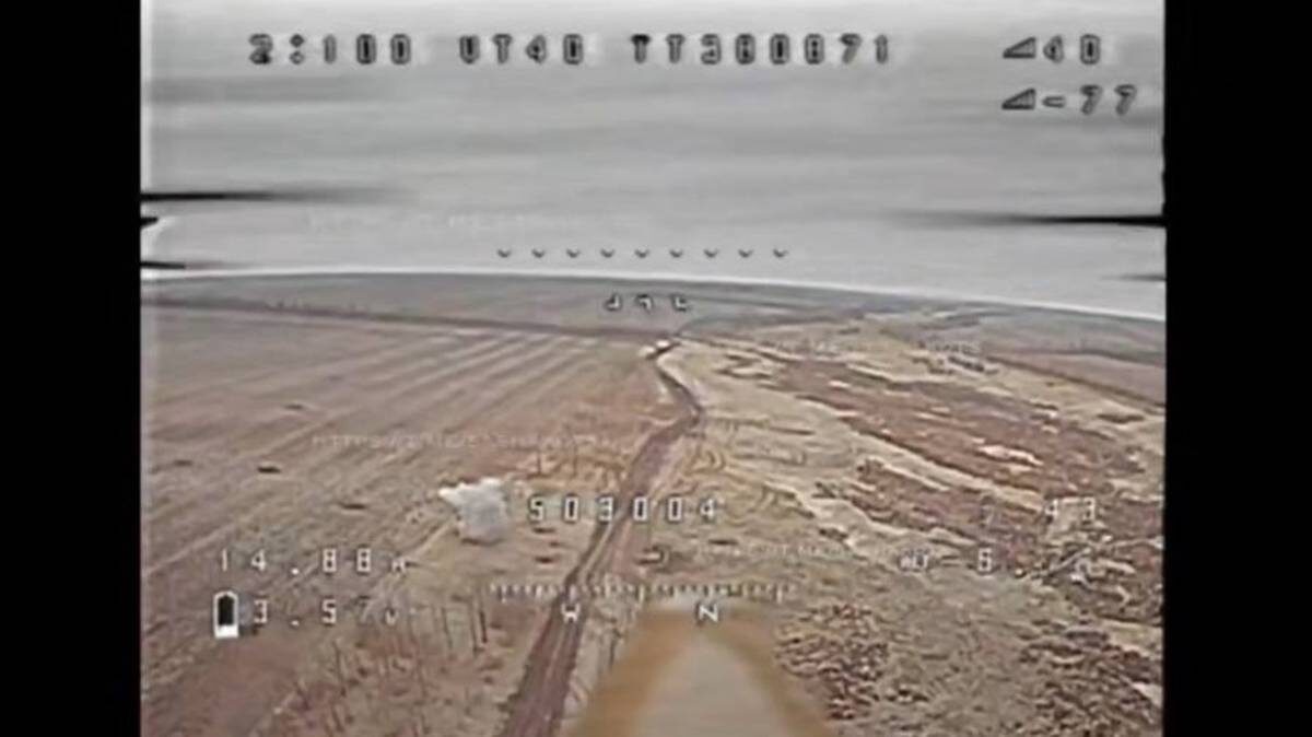    Фото: Скриншот видео Teolegram-канал Kotsnews