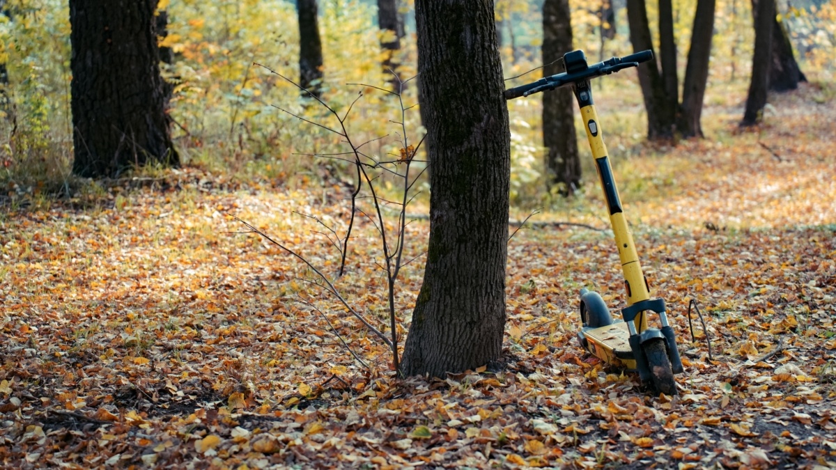 Светлана Мулыкина📷
