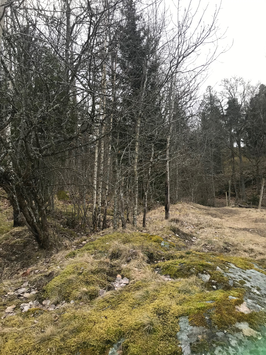 Фото из личного архива 