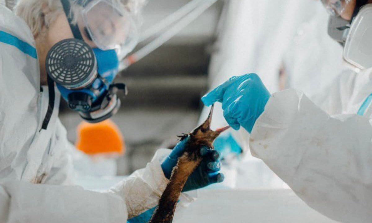    Фото t.me/opershtab23