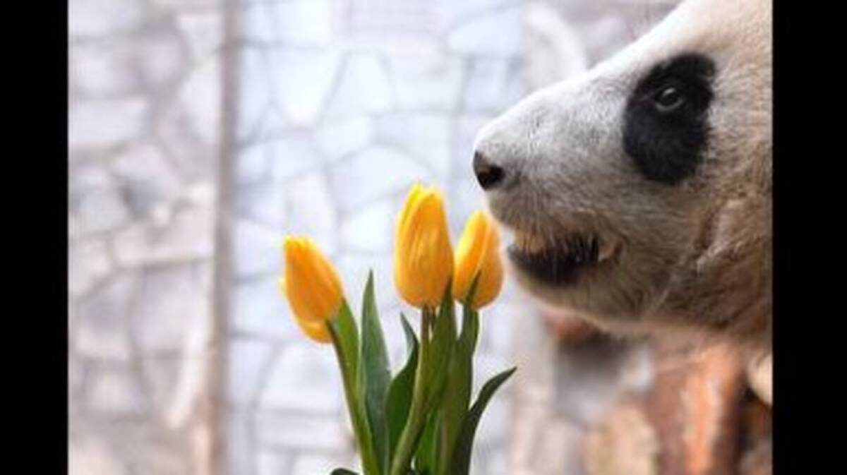    Фото: Светлана Акулова / Telegram