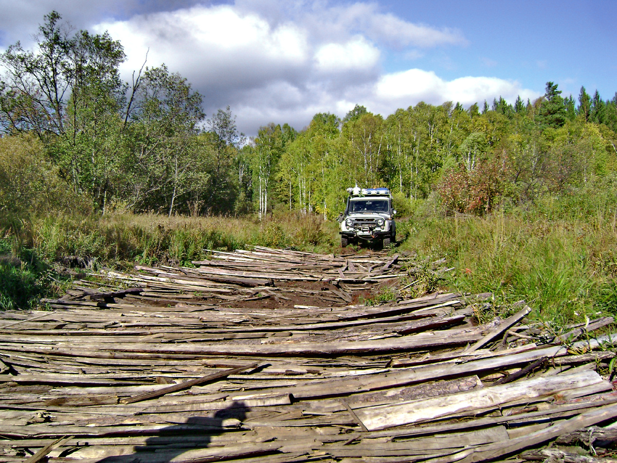 Гать где-то на старой лесовозной дороги из Тюлюка в Верхнюю Аршу.