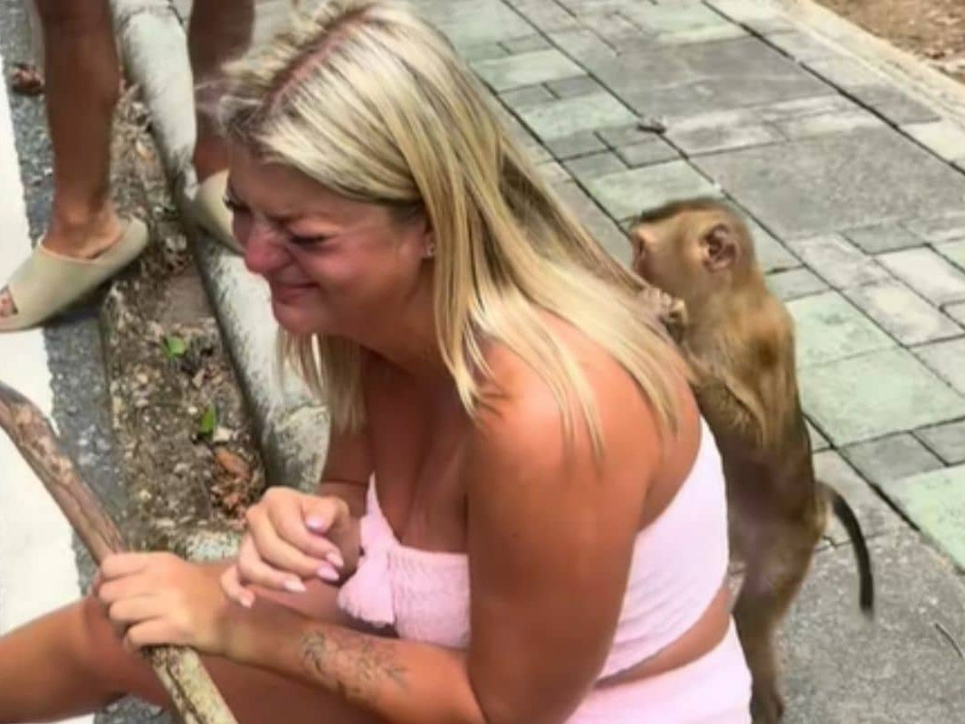 Источник: thethaiger.com