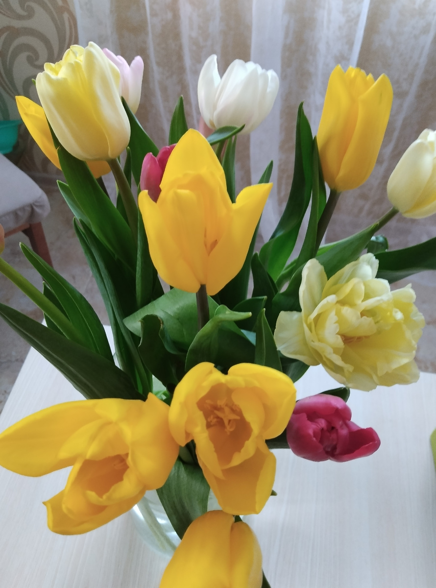 Нежные тюльпаны